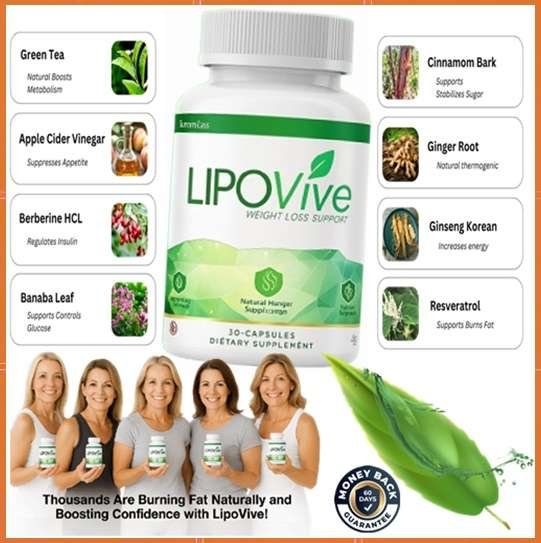 LipoVive Ingredients